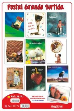 POSTAL GRANDE SURTIDA 20X15 CM. 38171